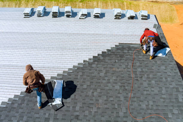 Roof Gutter Cleaning in Advance, NC